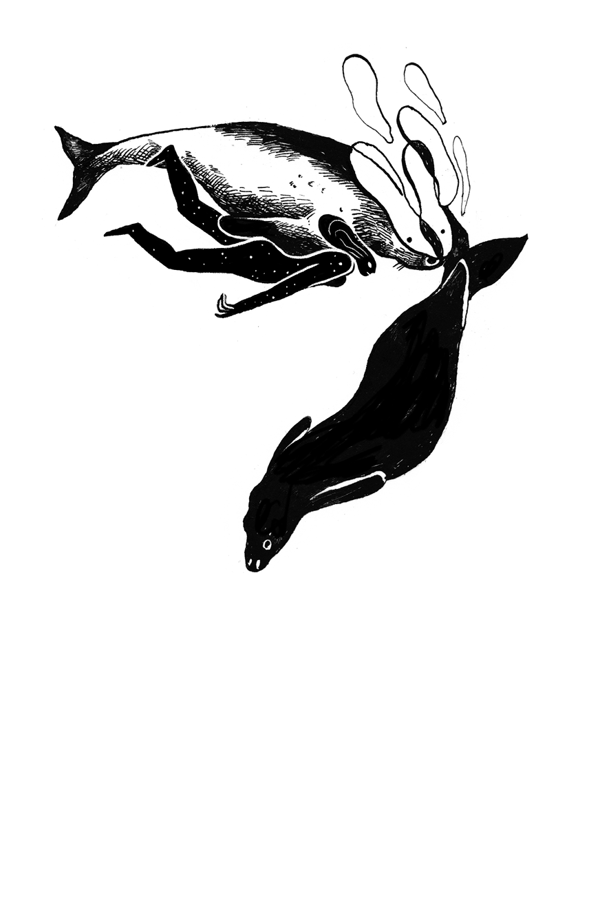 ../links/00introduction