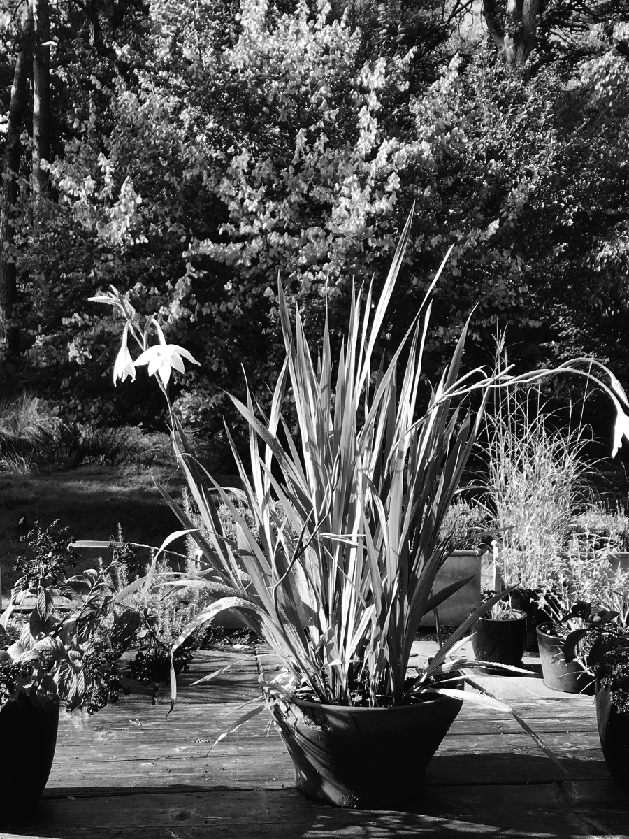 ../links/02_IMG_1183