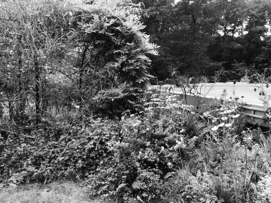 ../links/03_BIS_JARDINLAURA