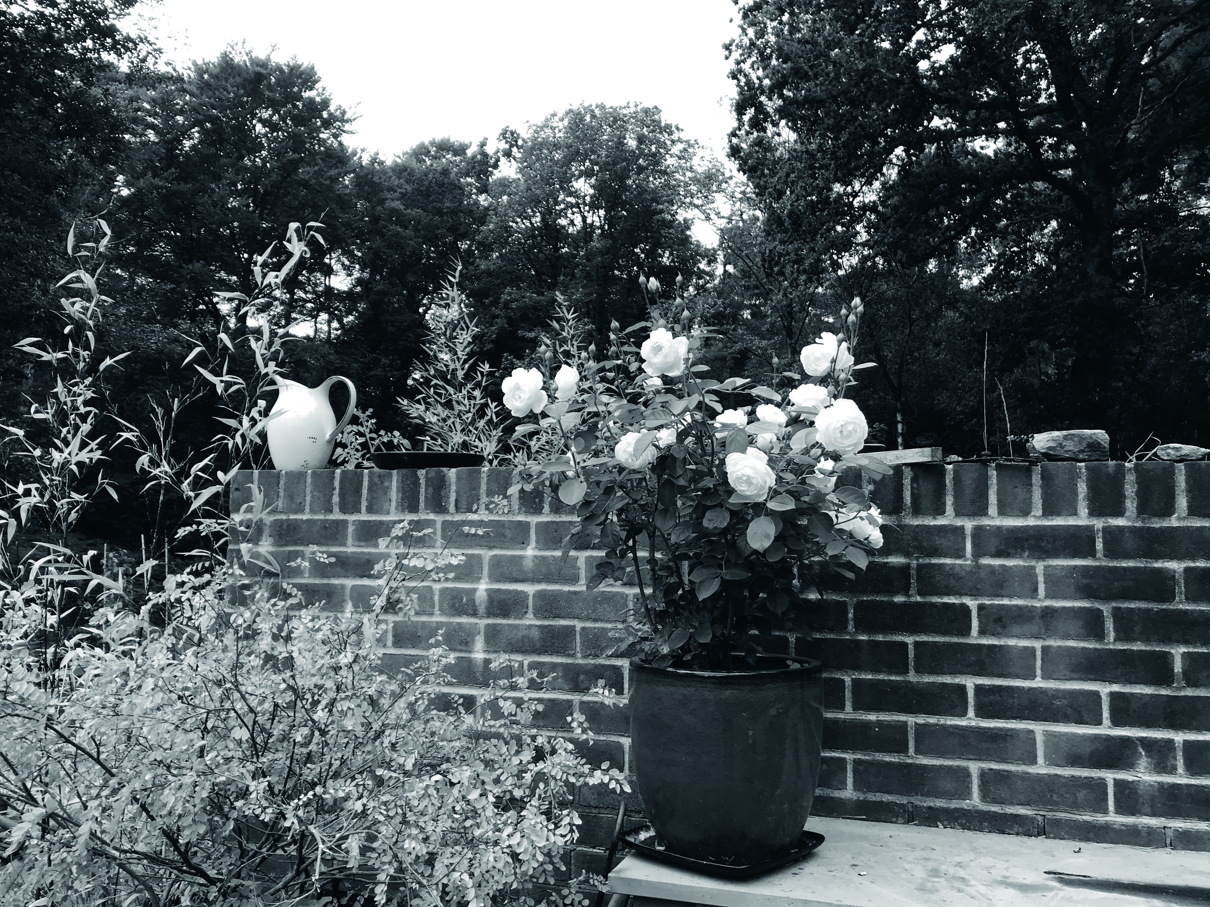 ../links/04_IMG_1144