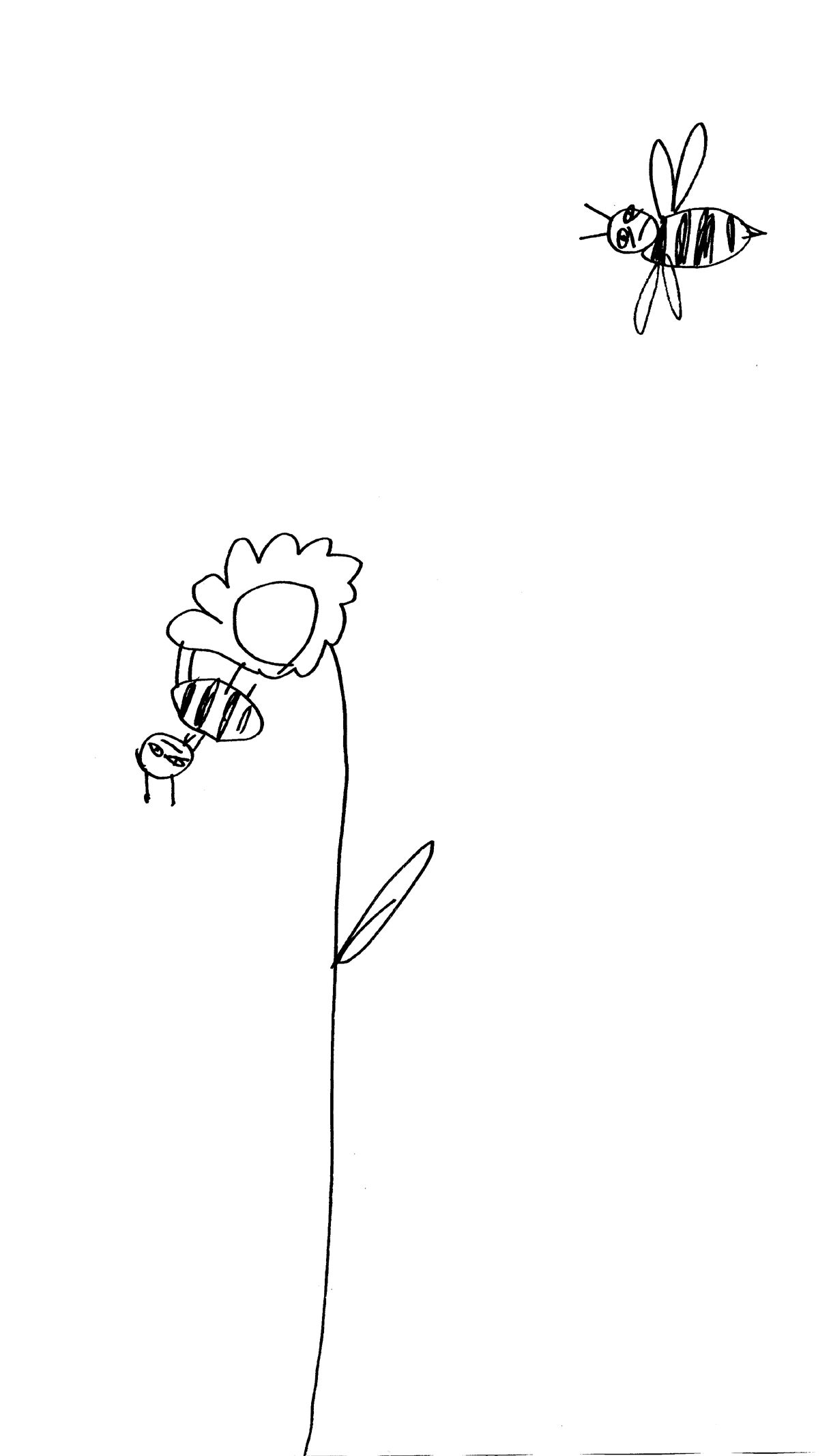 Dessin de deux abeilles