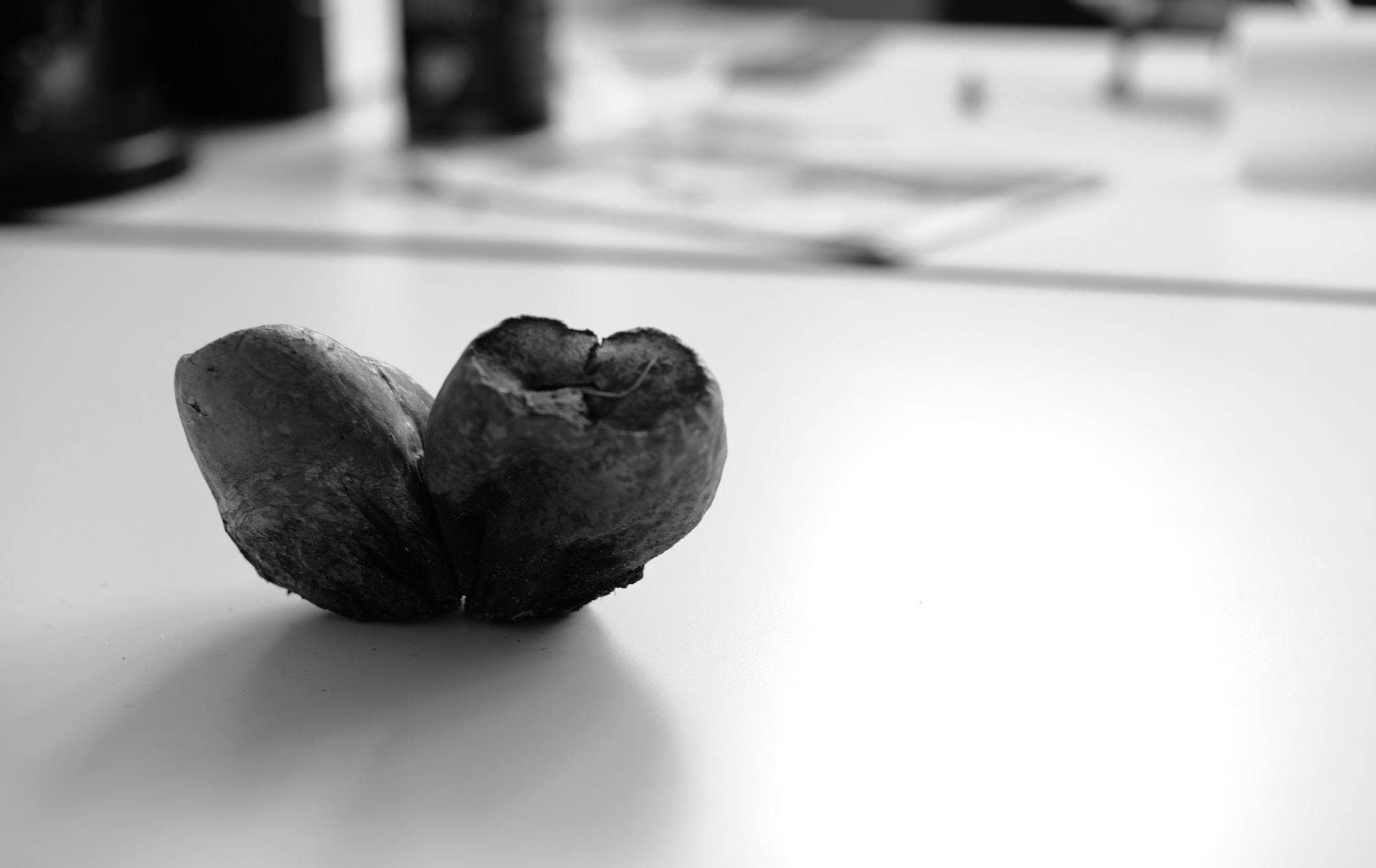 ../links/image_4_DSC_0427