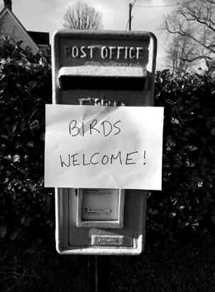 Photo d’une boite aux lettres avec une note disant "`Birds nesting. Please do not use this box. Many thanks.`"