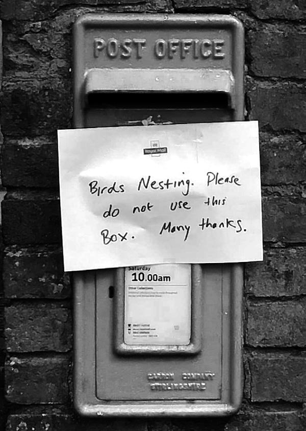 Photo d’une boite aux lettres avec une note disant "`Birds nesting. Please do not use this box. Many thanks.`"