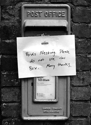 Photo d’une boite aux lettres avec une note disant "`Birds nesting. Please do not use this box. Many thanks.`"
