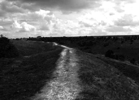 Photo d’un sentier