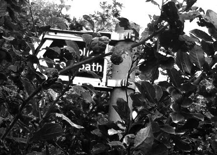 Photo d’un écriteau dans les branches